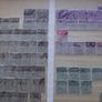 A nice collection of Stamps from India, presented in the stock book Image 4