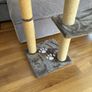 Cat Scratching Post Image 2