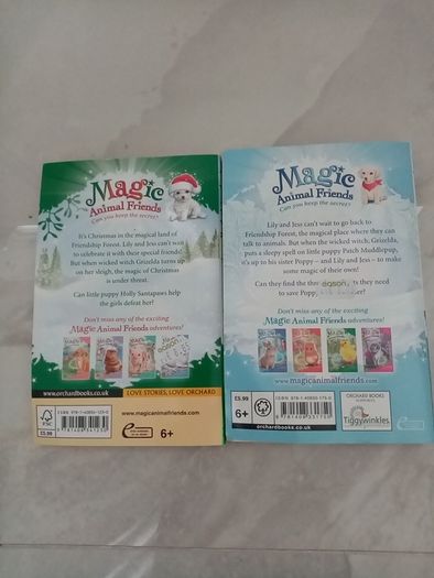 Magic Animal Friends books x 2