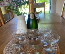 6  Retro / Vintage Babycham Glasses