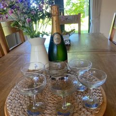 6  Retro / Vintage Babycham Glasses