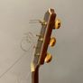 Takamine Acoustic guitar Image 3
