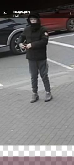 Stolen  bike  - Giant Fastroad Malahide