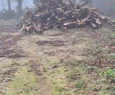 Firewood processing