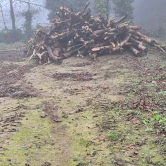 Firewood processing