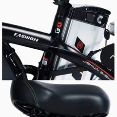 ebike  stern