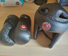 Martial Arts Headguard (Youth) and Gloves (Small)