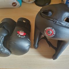 Martial Arts Headguard (Youth) and Gloves (Small)