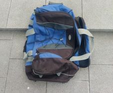 Samsonite Travel bag FREE