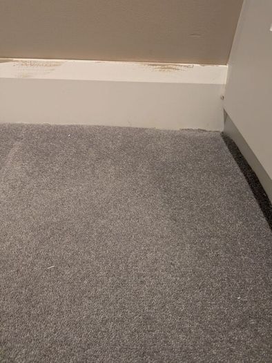 Carpet