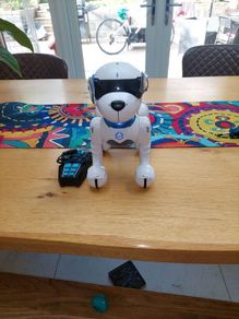 Robotic Dog