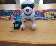Robotic Dog