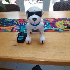 Robotic Dog