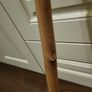 Walking stick Image 4