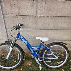 girls raleigh diva bike