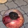 Really Lovely Heavy Trinket Dish in Earth Tones Image 5