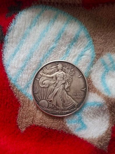 silver dollar