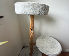 Cat tree : cat bed