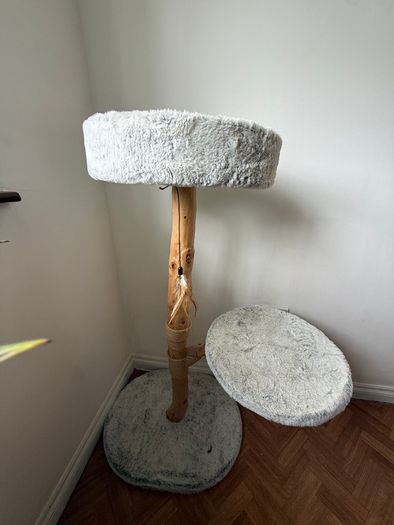 Cat tree : cat bed