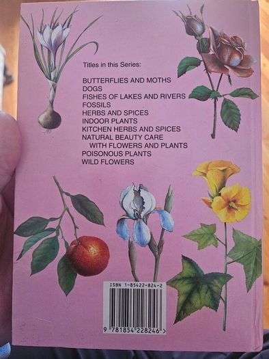 Natural Beauty Care With Flowers And Plants. B. Hlava, Z. Krejcova. Hardback In Good Condition.  See Photos For Same.
