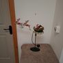 Free Image 2