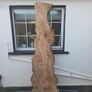 Live Edge Oak Wood Slab Burl Image 6