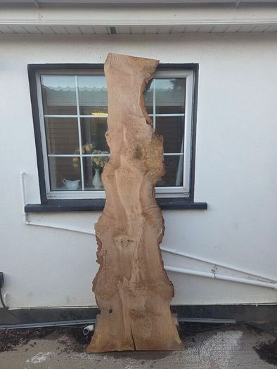 Live Edge Oak Wood Slab Burl