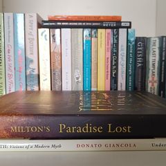 24-Book Bundle - Fiction, Classics & YA - Optional Paradise Lost and Middle-Earth