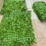 Artificial hedge Image 3