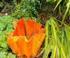 Quirky Garden Pots