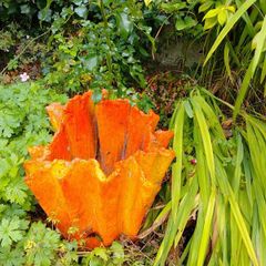 Quirky Garden Pots