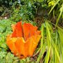 Quirky Garden Pots Image 2