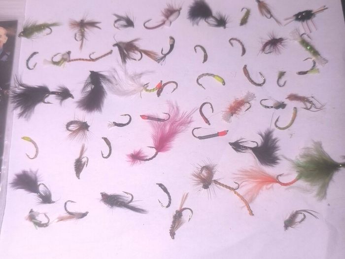 lureflash quality assorted fly selection 50 flies in viper hooks