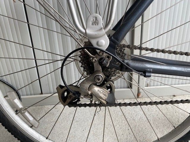 Men's Giant Bike