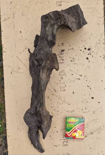 Collection of 4 Ancient Irish Bog Oak Pieces