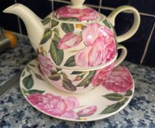 Newbridge bone china tea pot/cup & saucer set