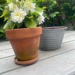 ShabbyChic Garden..Everything in the first picture for 4e..bundle lot