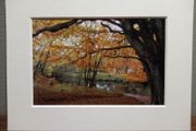 Mounted Original Photography - Ballinrush Estate
