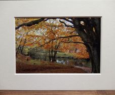 Mounted Original Photography - Ballinrush Estate
