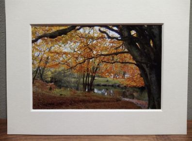 Mounted Original Photography - Ballinrush Estate
