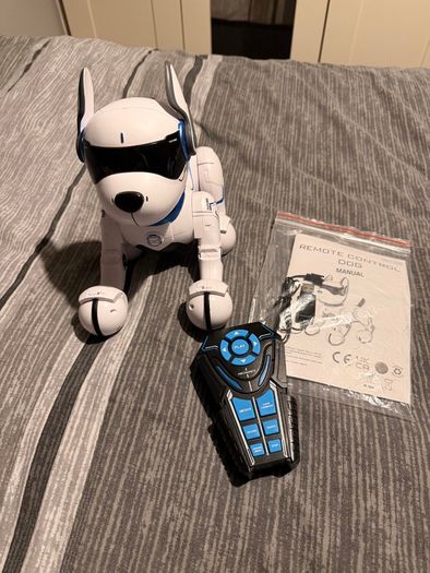 Ziggy the Robo Dog