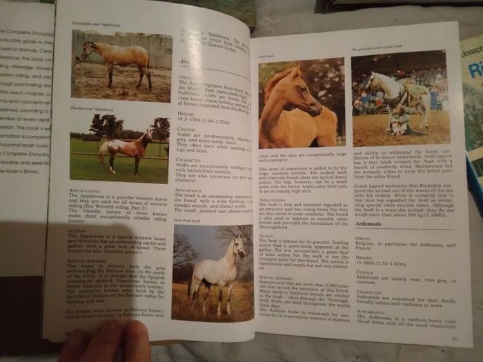 Horse / Equestrian Books
