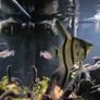 Fluval Fish Tanks 200ltr Image 10