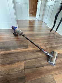 Dyson v15 detect Animal