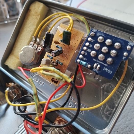 Falaise Fuzz