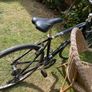 bike Image 2