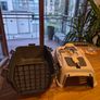 Pet kennel (hard shell) Image 4