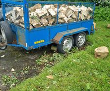Firewood