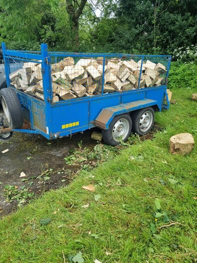 Firewood