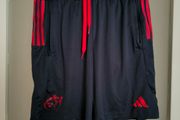 Munster Rugby Adidas training shorts